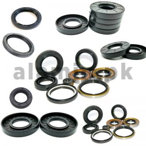 Oil Seal of All Sizes